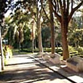 Jardim-Museu Agrícola Tropical