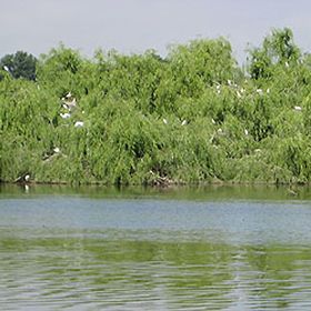 Reserva Natural do Paul do Boquilobo